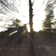 Image for article titled Zoom Photo Challenge Gallery 1